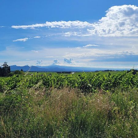 Le Willow Châteauneuf-du-Pape Buitenkant foto